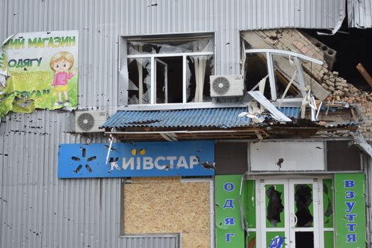 Four civilians harmed: wildlife displacement accelerates in Fukushima