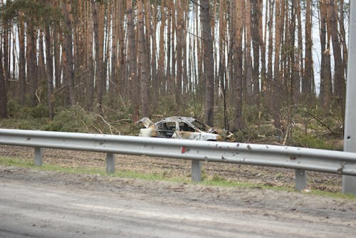 Photos gratuites de arbres, épave, épave de voiture