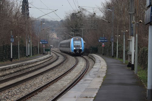 Immagine gratuita di alberi, autunno, binario della stazione ferroviaria