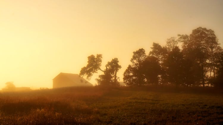 Yellow Sunrise Over Hill