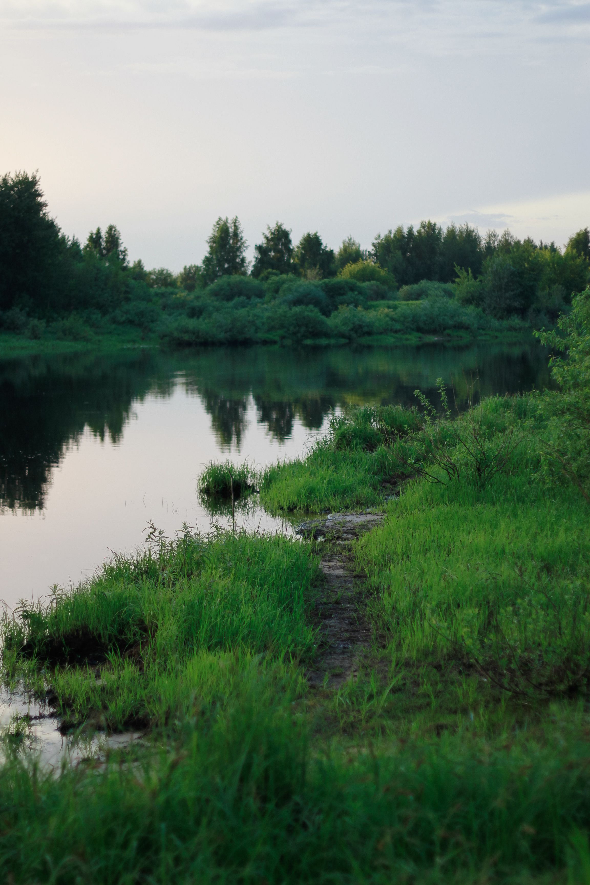 Green Grass Near River · Free Stock Photo