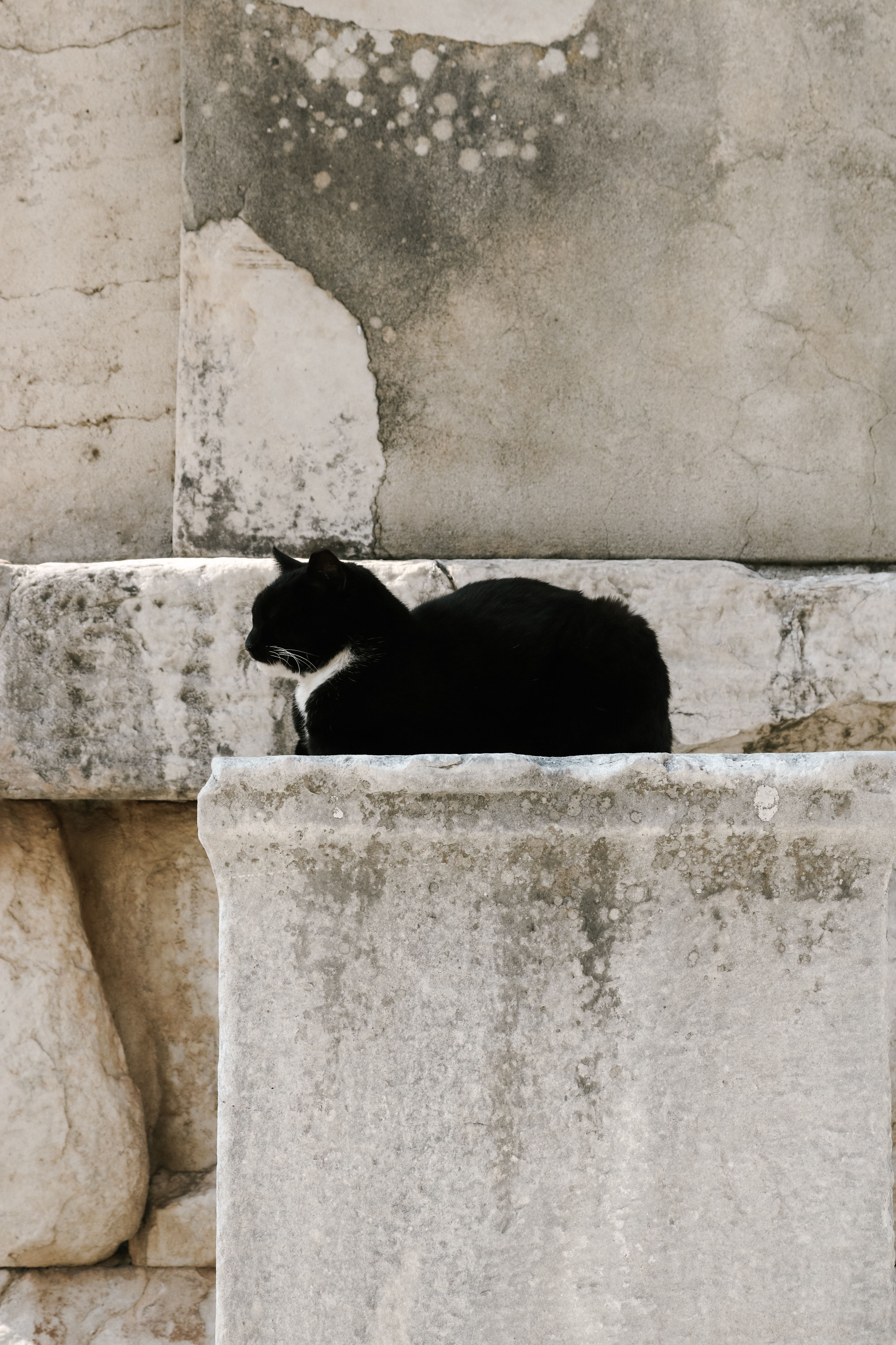 A black cat sitting on a weathered stone ledge, showcasing a serene and tranquil moment.