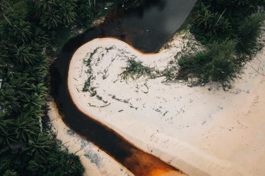 Meander of a River in Jungle