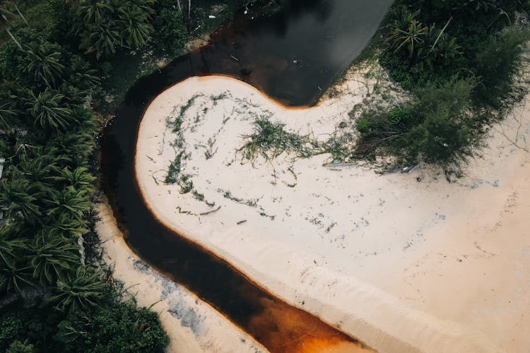 Meander of A River In Jungle