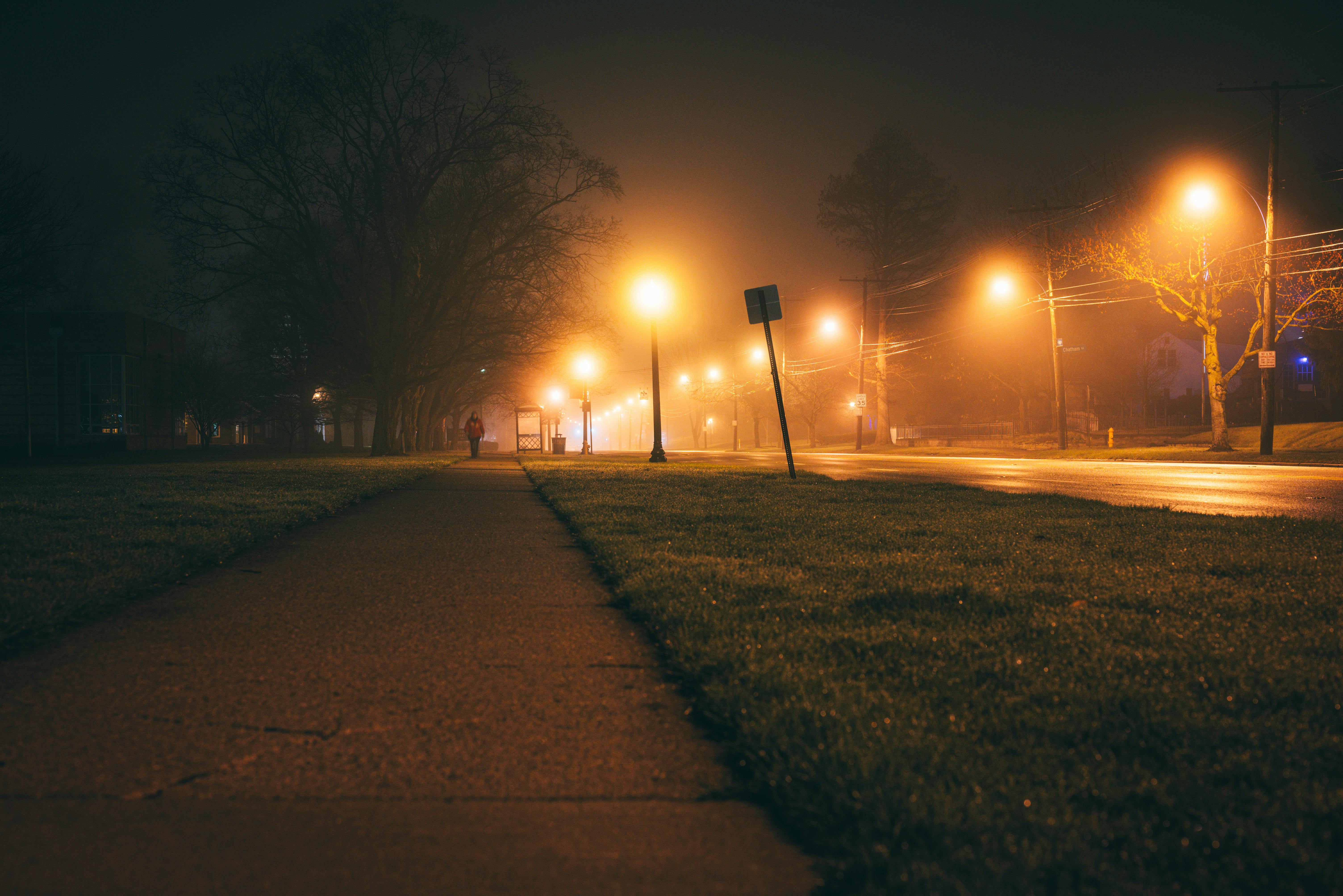 Tram Stop on a Misty Night · Free Stock Photo
