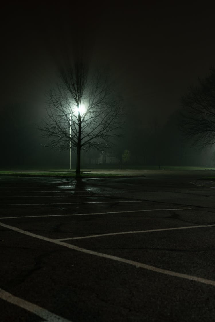 Empty Parking Lot At Night