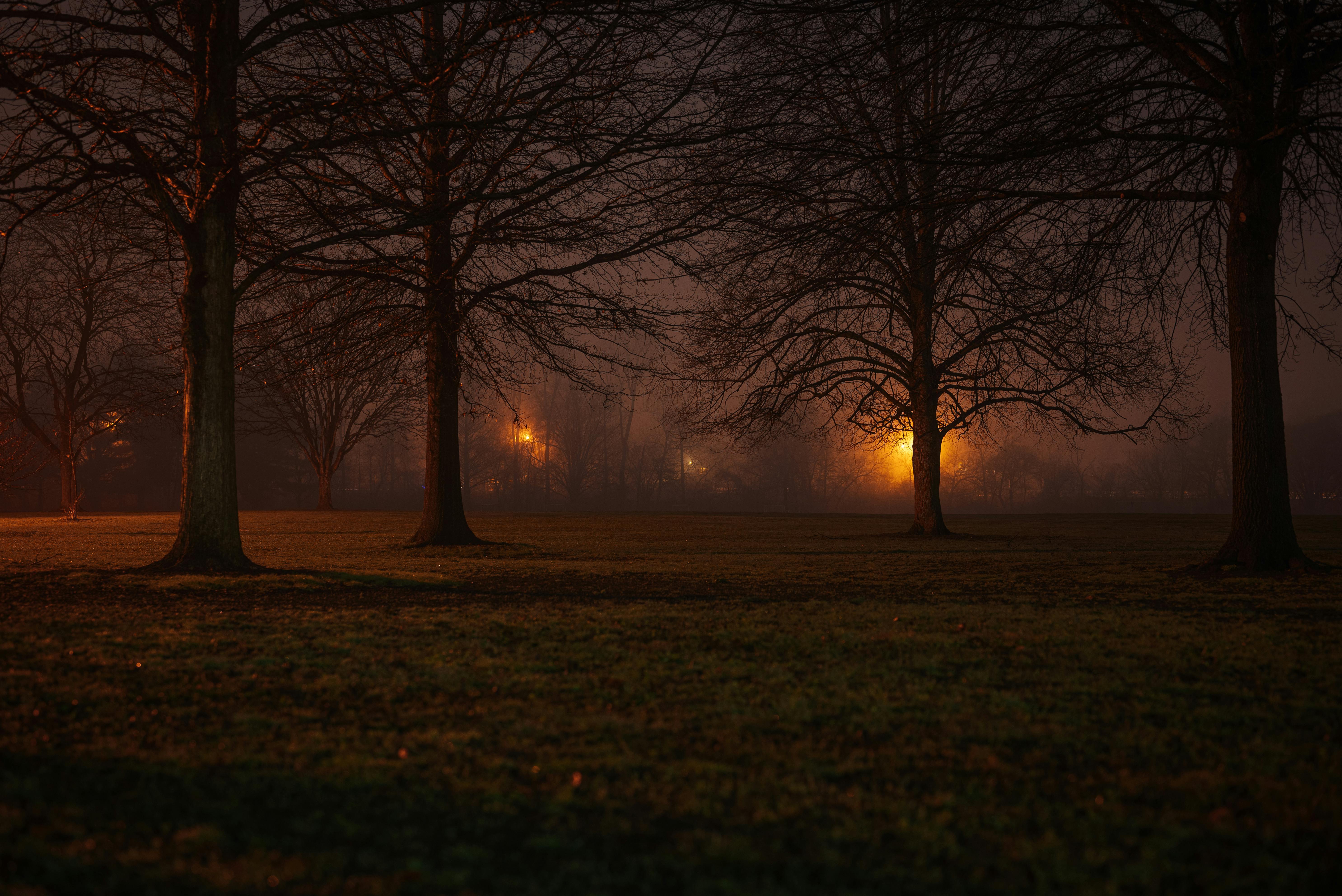 evs explained evs related topics — Photo by Chris F on Pexels