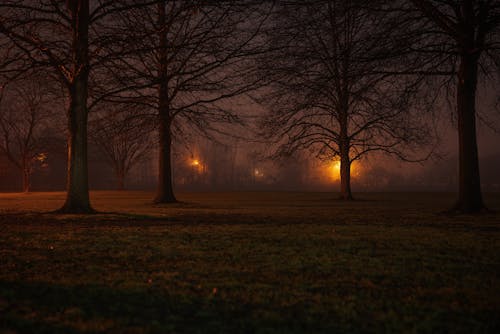 The Real Meteorological Reasons Halloween Nights Feel So Spooky