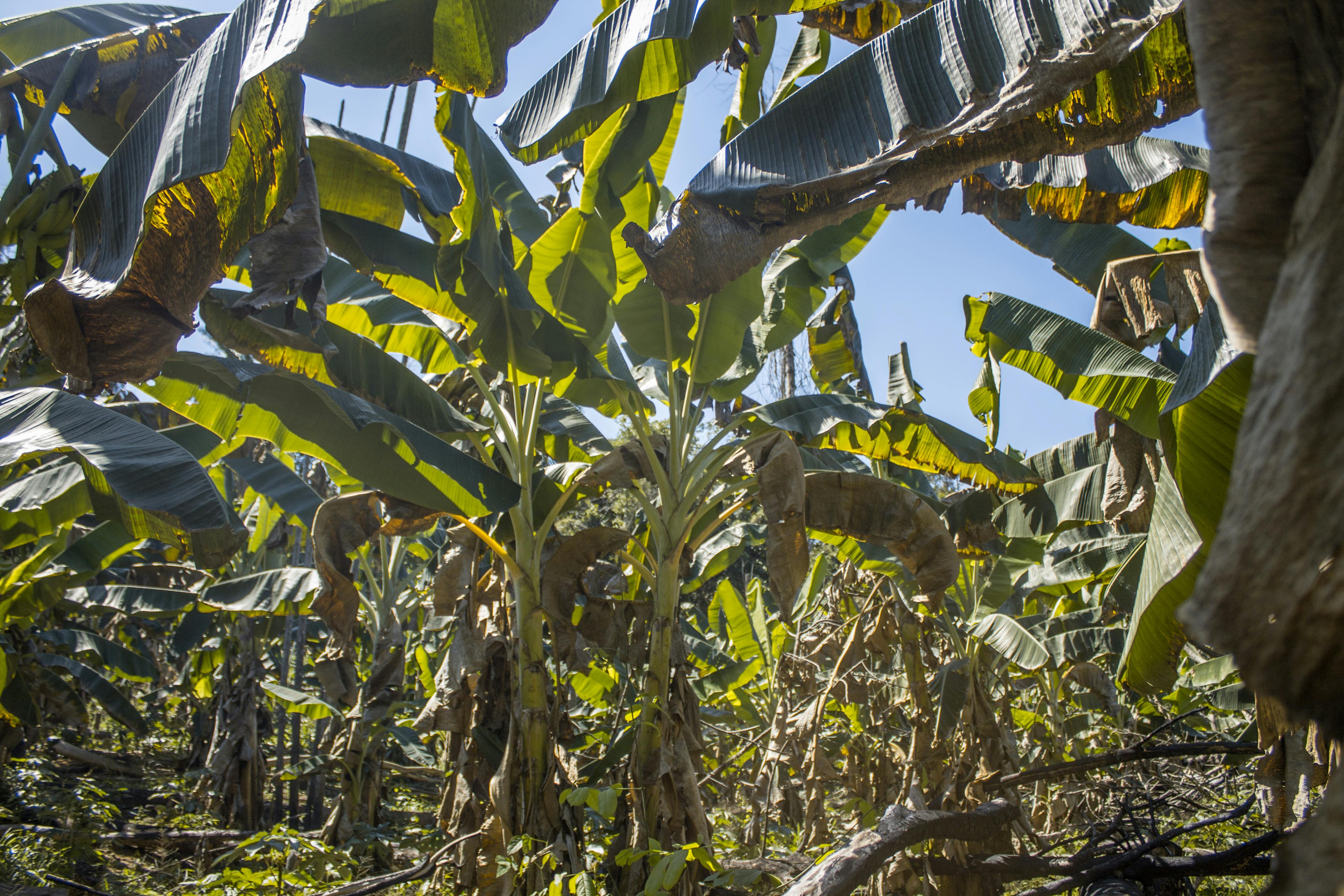 Free stock photo of silhouettes, train, travelers