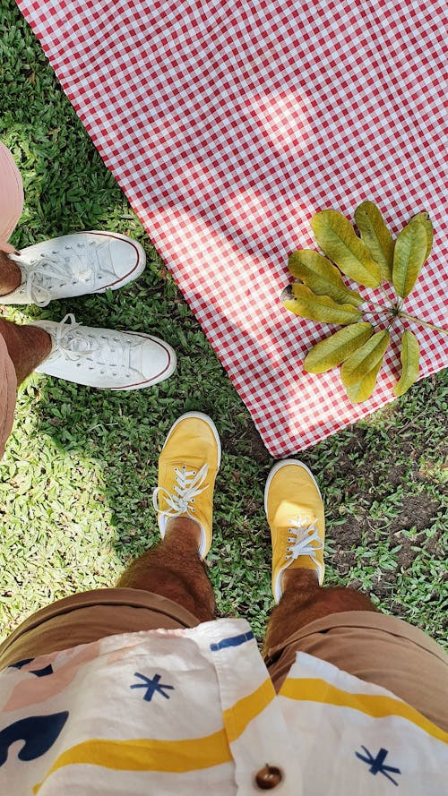 Free stock photo of blade of grass, couple, environment