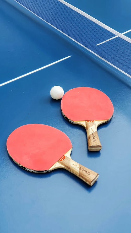 Free stock photo of ping pong, racket, sport