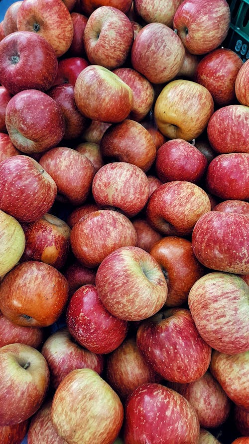 Free stock photo of apple, bazaar, food