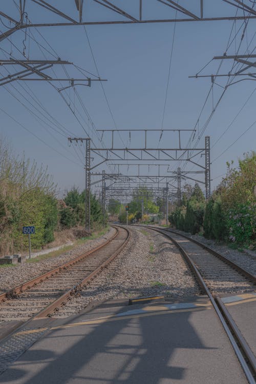 Train Rails Near Trees