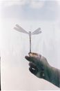 Hand Holding a Paper Dragonfly Overlapped with a Picture of Flowers