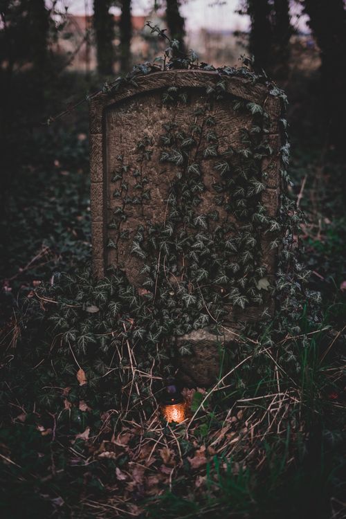 Kostenloses Foto zum Thema: abgenutzt, ast, ausruhen, beerdigung, braun,  drauen, dunkel, dster, efeu, einsam, einsamkeit, friedhof, friedlich,  gefallene bltter, geschichte, gespenstisch, gotisch, grab, grabstein,  grau, grn, gruselig, hat verloren ...
