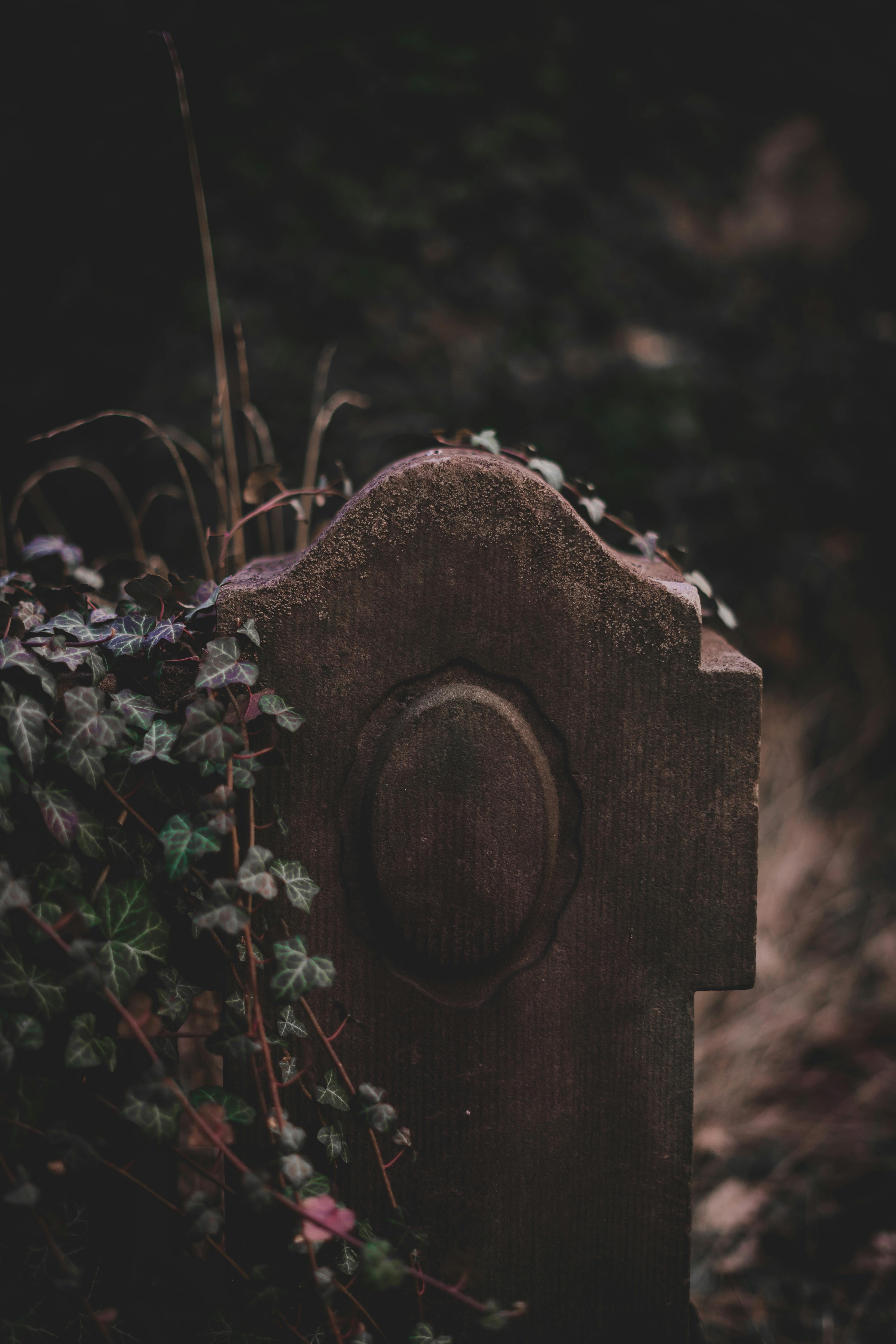 What happens to you immediately after death?