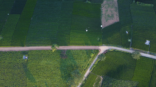 Aerial View of Croplands · Free Stock Photo