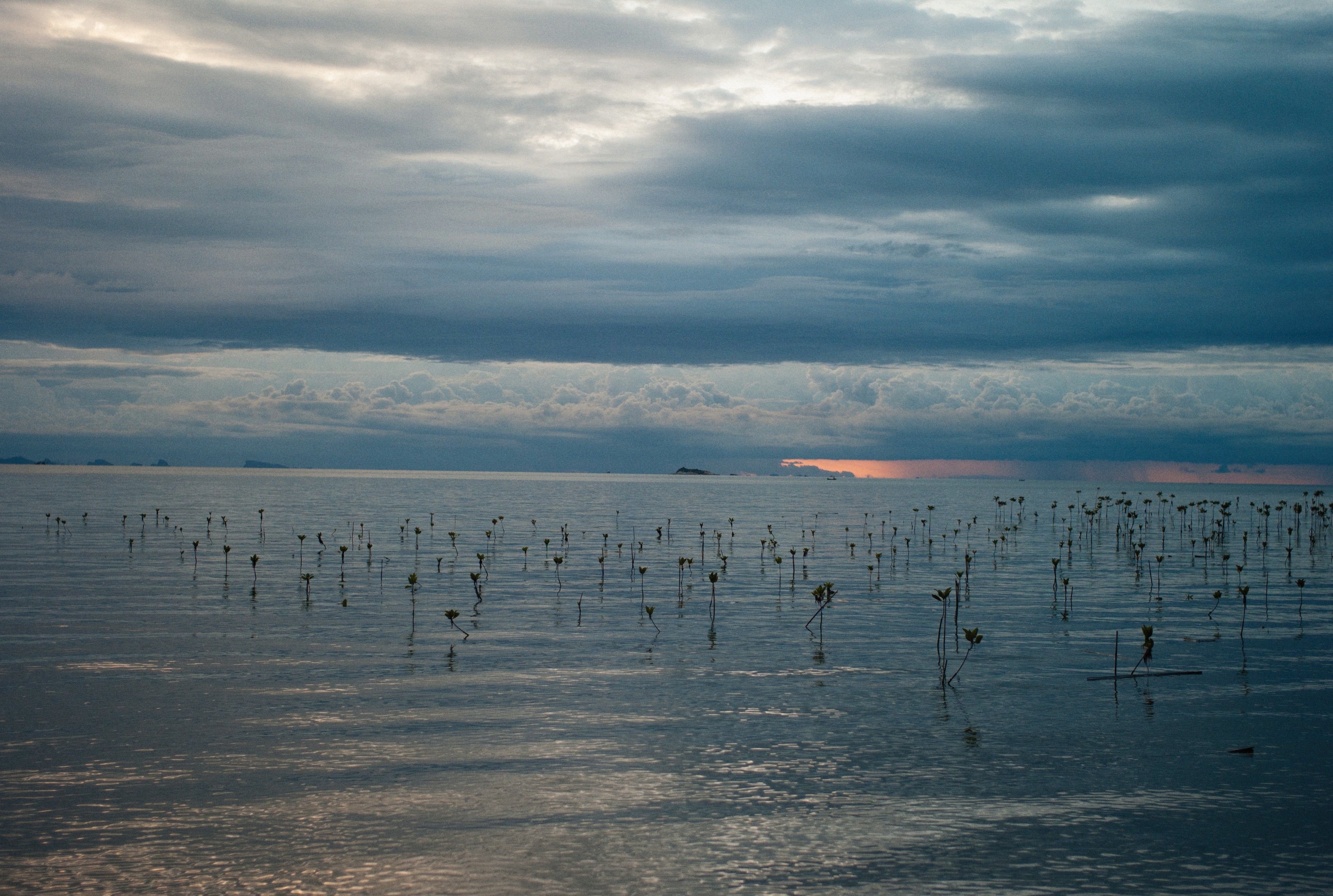 SEADRIF and FAO Launch Southeast Asia’s First Anticipatory Drought Insurance Pilot in Lao People's Democratic Republic — Phot
