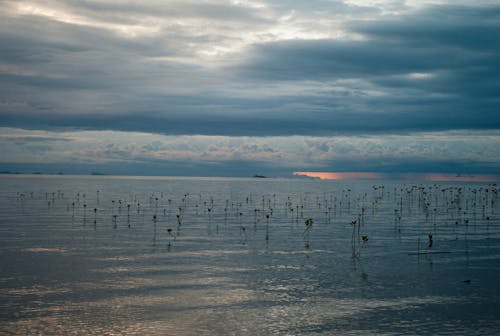 Sea Under a Cloudy Sky 