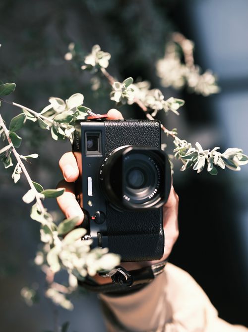Free A hand holds a camera amidst green leaves, emphasizing nature photography. Stock Photo