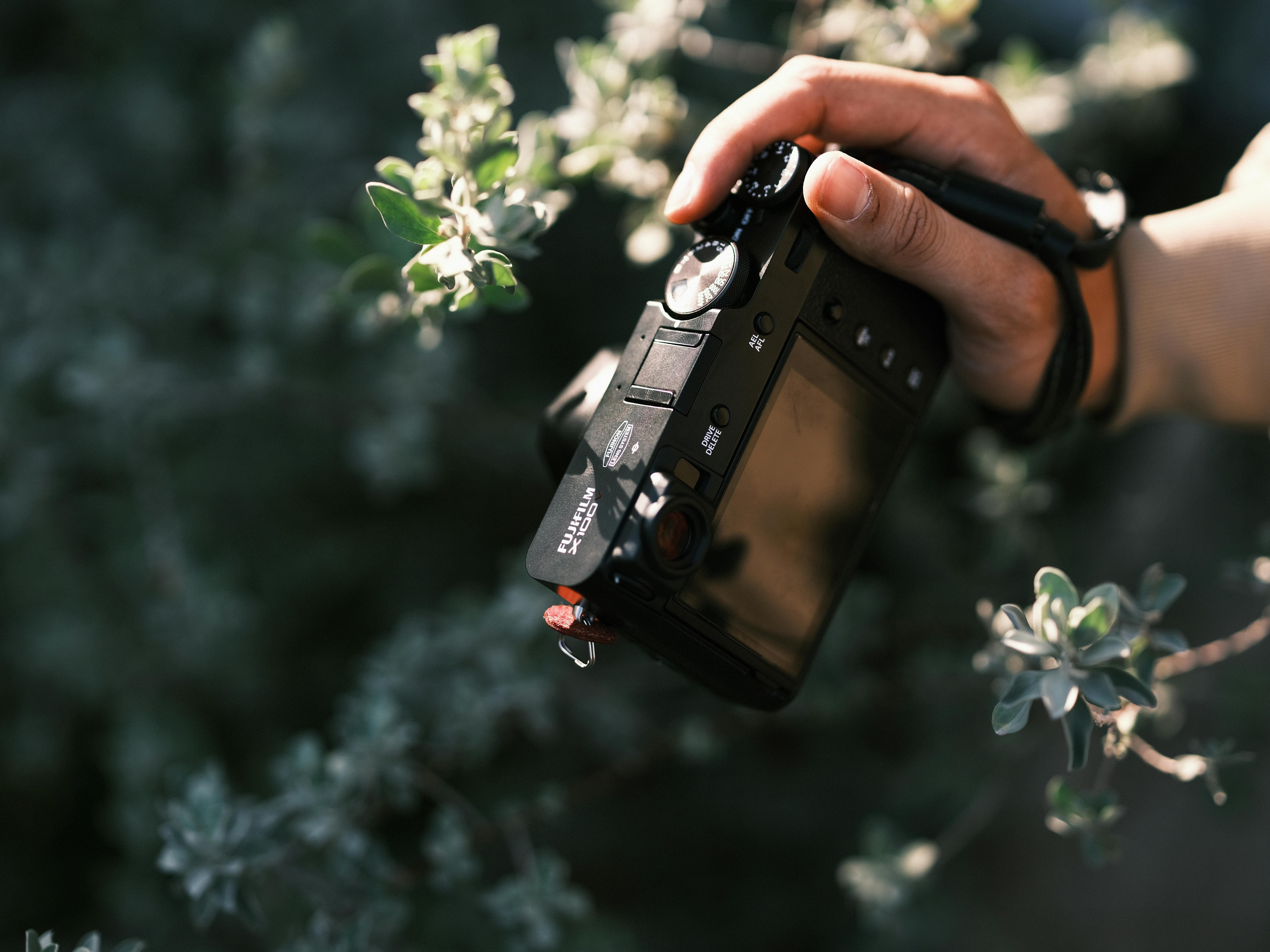 Free Close-up of a hand holding a black digital camera among green foliage outdoors. Stock Photo