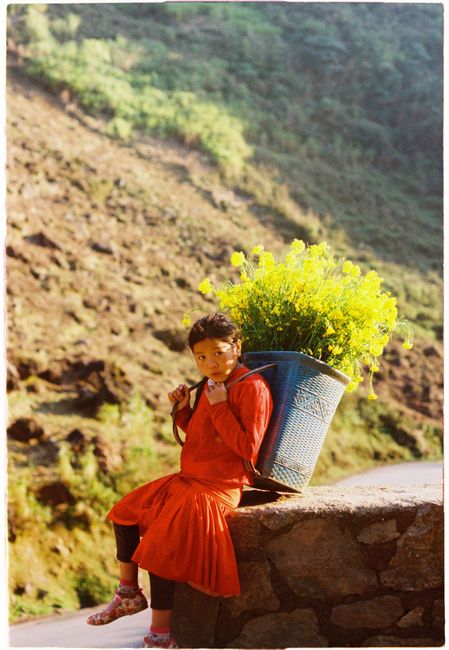 A child in a red dress sits with flowers on a rural mountainside.