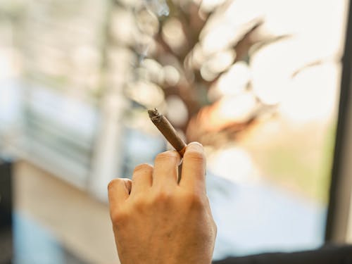 Person Holding a Brown Cigar