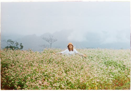 Kostnadsfria Kostnadsfri bild av äng, asiatisk kvinna, blommor Stock foto