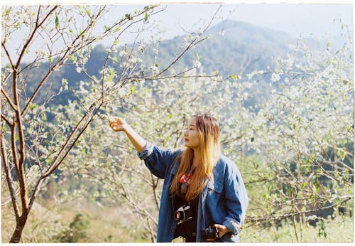 Woman in an Orchard with Cherry Blossom 