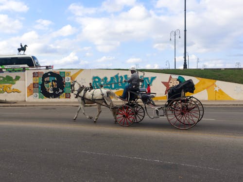 Photo of a a Horse-Drawn Carriage Riding on City Street