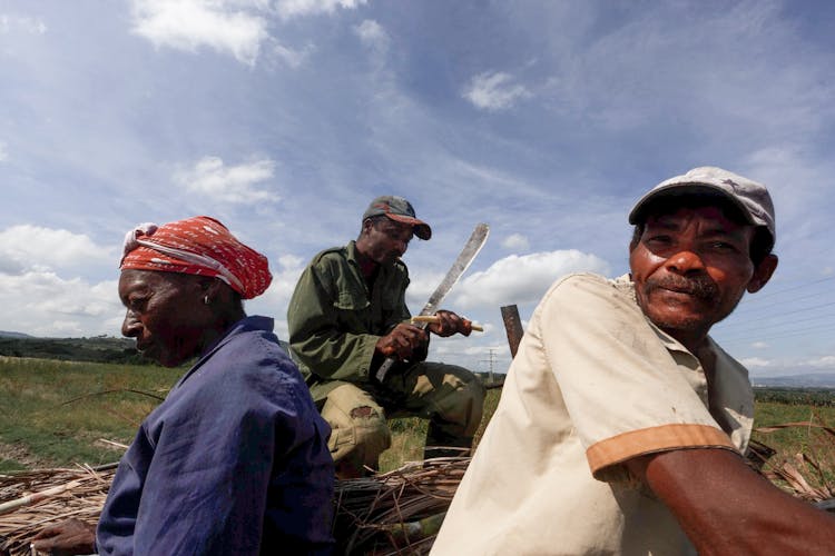 Farmers Working In Countryside