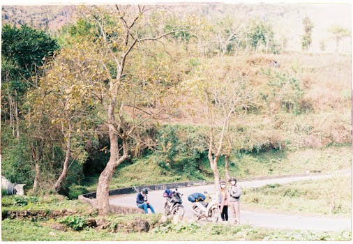 A group of travelers with motorbikes pausing by a scenic country road with trees and rolling hills.