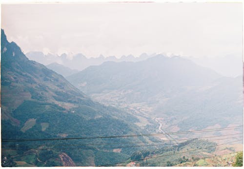 Foto profissional grátis de aerofotografia, árvores, cenário