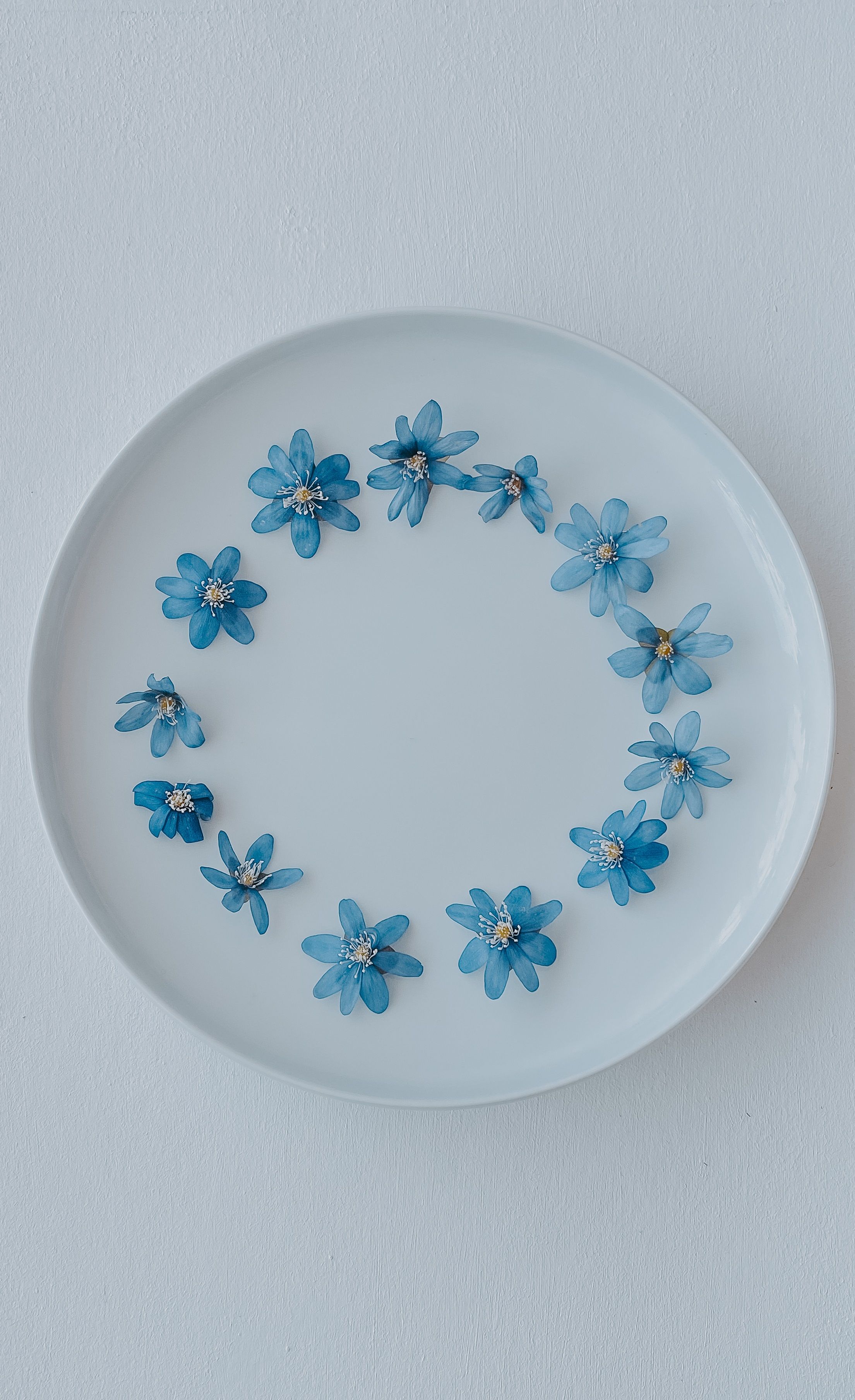 Top view of a white ceramic plate adorned with delicate blue flowers, arranged in a circle.
