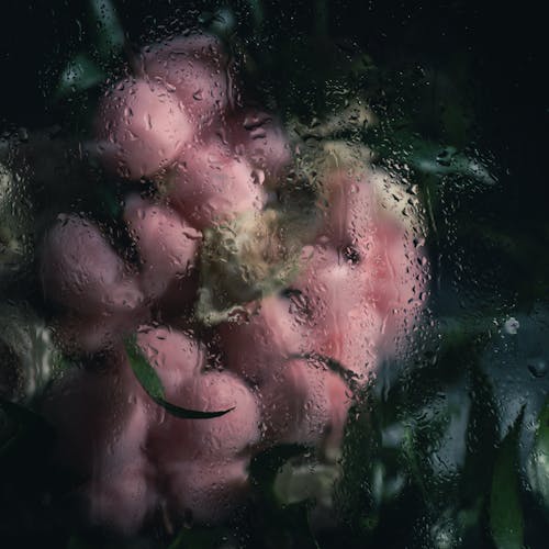 Flowers Behind a Wet Window 