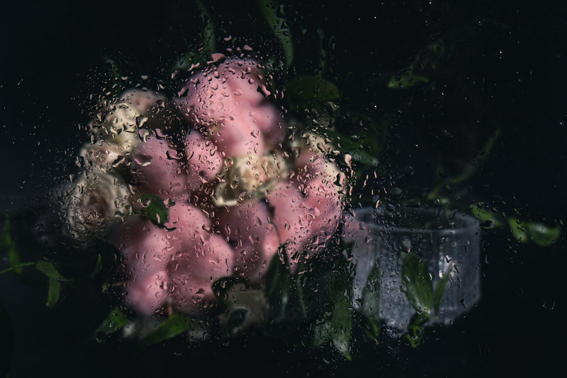 Flowers behind Glass with Raindrops
