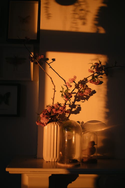 คลังภาพถ่ายฟรี ของ ก้าน, การตกแต่ง, ดอกไม้สีชมพู