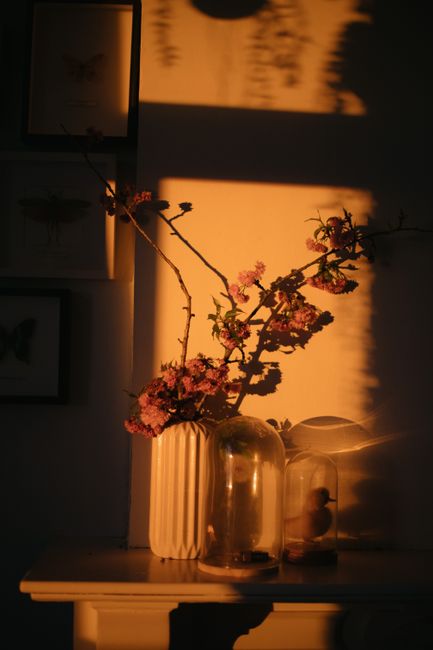Warm-toned image of a pink flower arrangement casting shadows indoors.