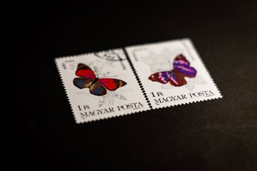 Close-up of vibrant butterfly stamps, showing intricate designs on a dark backdrop.