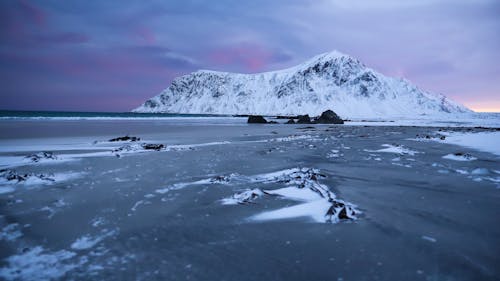 Photos gratuites de arctique, eau, givré
