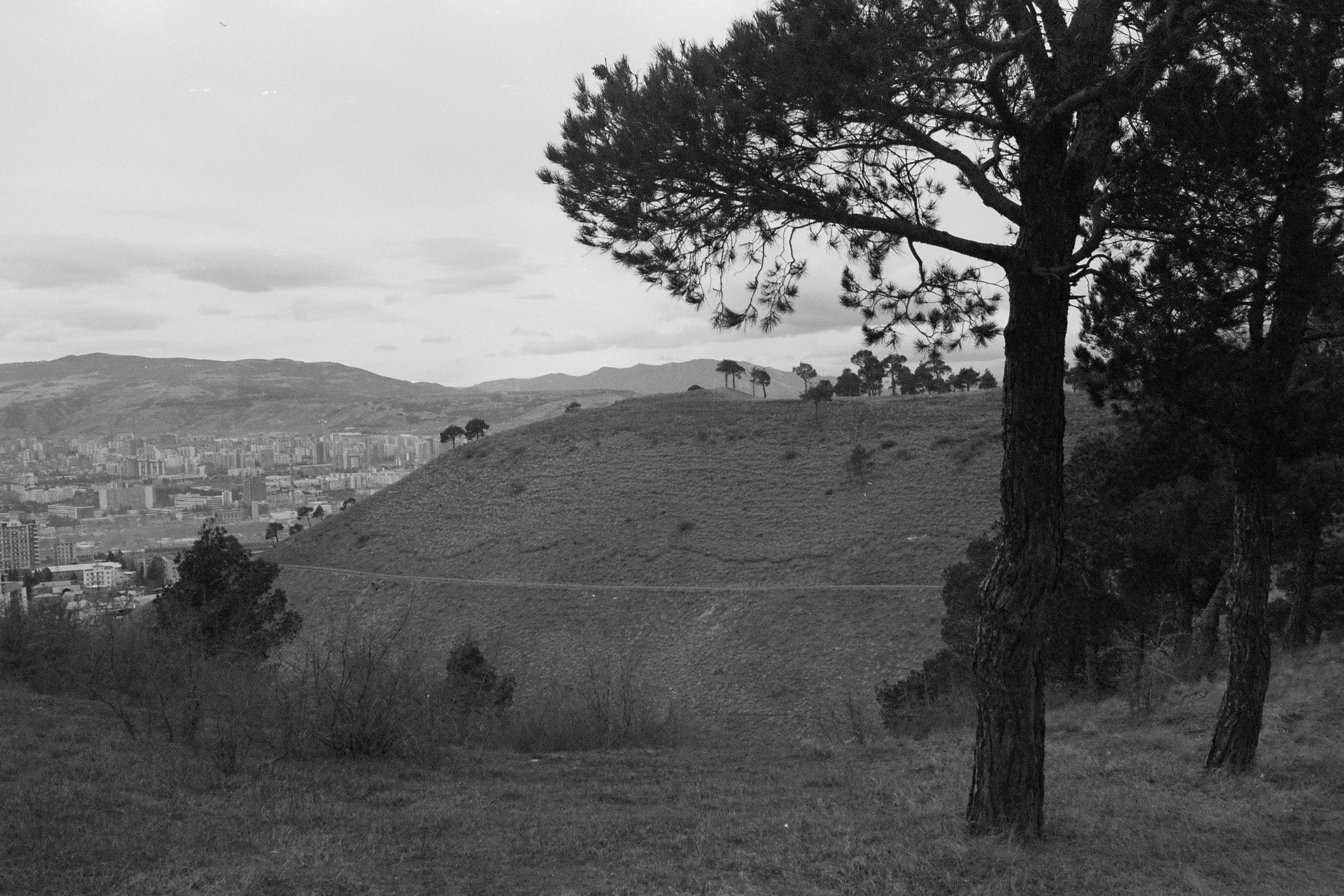 City in a Valley · Free Stock Photo