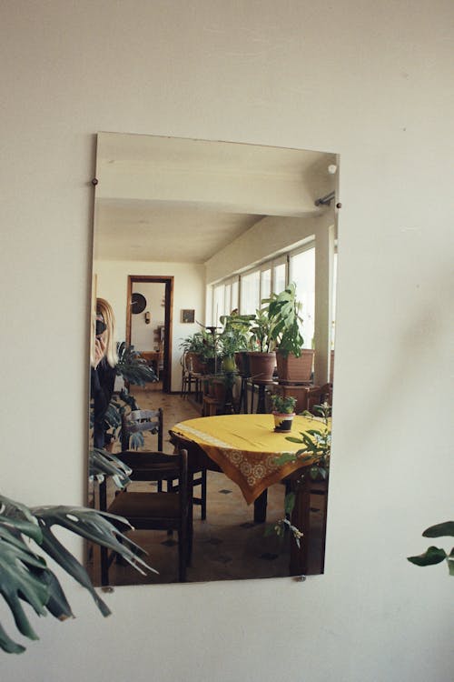 Mirror Reflection of a Room with Houseplants 