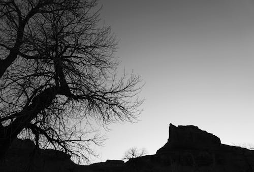 Black and white desert view