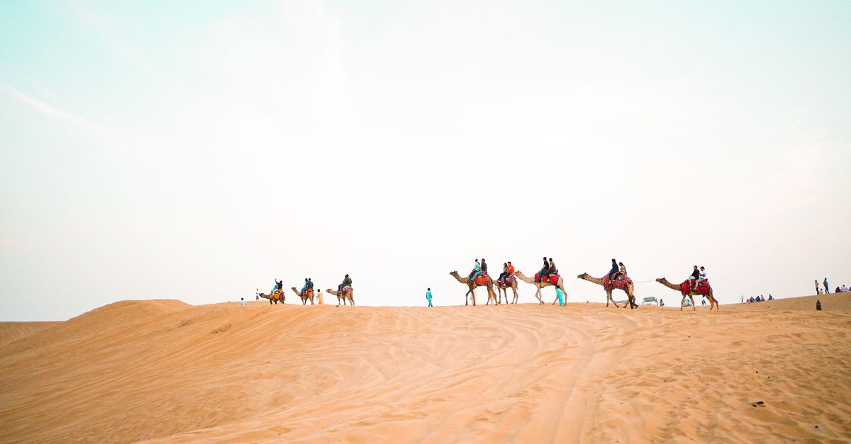 Someone Riding Camel People Riding Camel on Desert · Free Stock Photo
