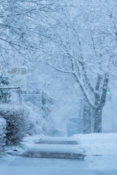 A tranquil winter scene with a snow-covered pathway lined by frosty trees.
