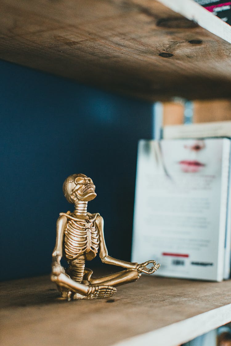 Golden Skeleton Figurine On A Bookshelf 