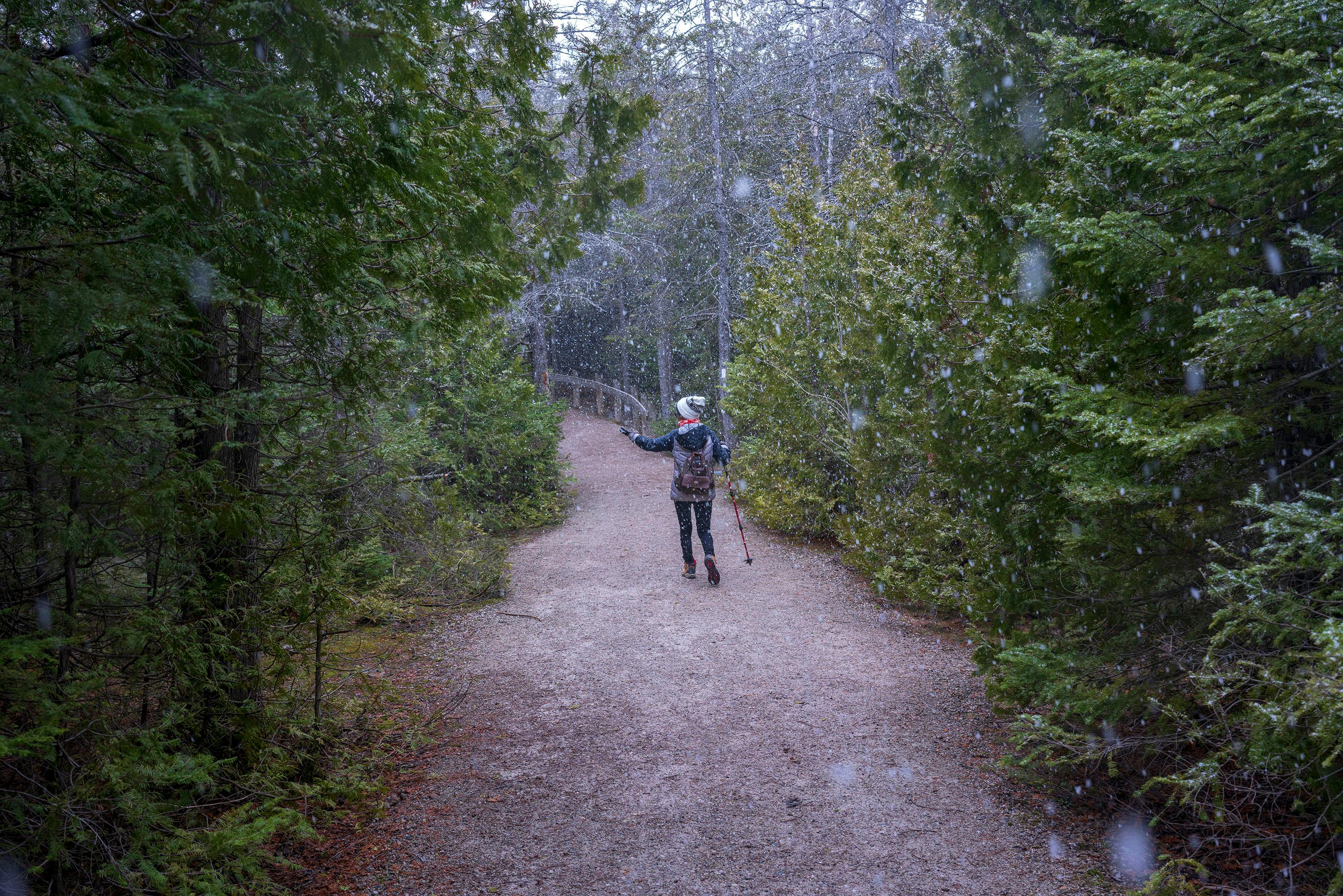 A woman hikes along a snowy forest trail, embracing the winter scenery.