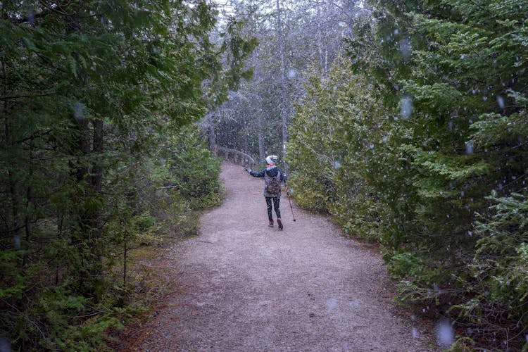 Back View Of Woman Hiking During Snowfall 