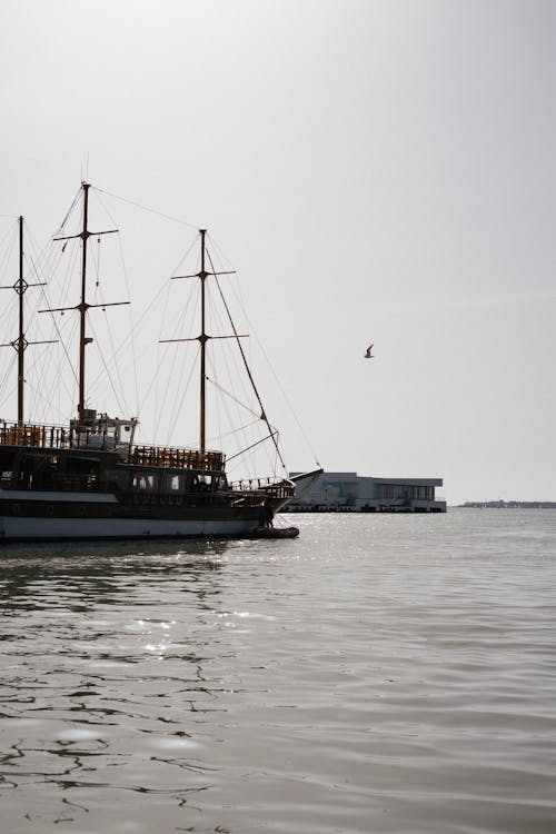 Fotobanka s bezplatnými fotkami na tému breh, mólo, more