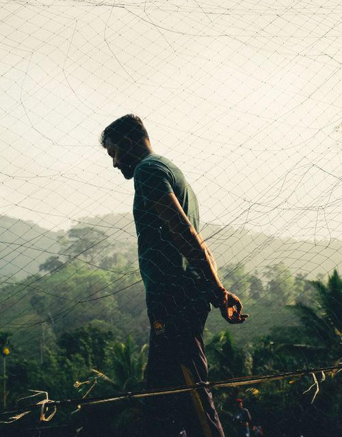 Free Silhouette of a man walking through a rural forest at dusk, surrounded by lush greenery. Stock Photo